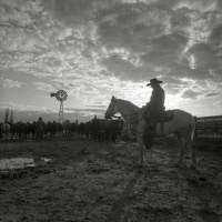 Visions West Gallery :: Bruce :: Sunrise, TS Ranch