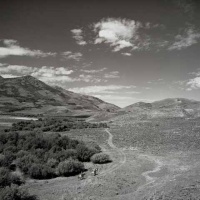 Visions West Gallery :: Bruce :: The Road Home