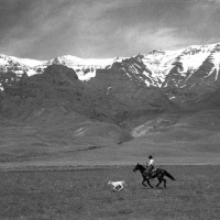 Visions West Gallery :: Bruce :: The Chase