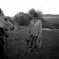 Visions West Gallery :: Bruce :: Louie's Stare