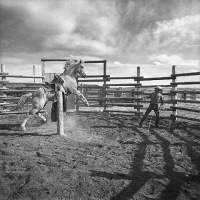 Visions West Gallery :: Bruce :: Rancho Grande