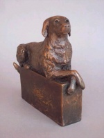 Visions West Gallery :: Bruce :: Regal Beagle