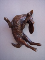 Visions West Gallery :: Bruce :: Carpe Discus II