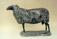 Visions West Gallery :: Bruce :: Mother of the Ram (small)