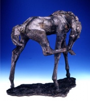 Visions West Gallery :: Bruce :: Innocence