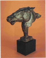 Visions West Gallery :: Bruce :: Untamed