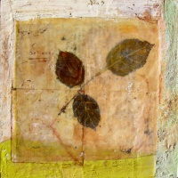 Visions West Gallery :: Bruce :: Leaf Fragment