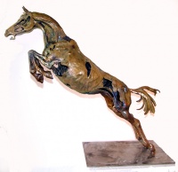 Visions West Gallery :: Bruce :: Leaping Warm Blood