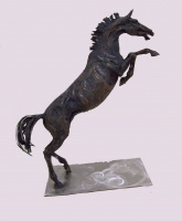 Visions West Gallery :: Bruce :: Rearing Warm Blood