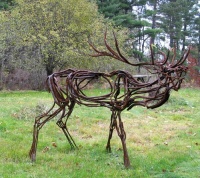 Visions West Gallery :: Bruce :: River Elk Redux