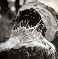 Visions West Gallery :: Bruce :: Beaver Fall / unframed