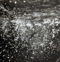 Visions West Gallery :: Bruce :: Big Timber Creek / framed