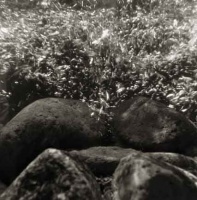 Visions West Gallery :: Bruce :: Big Wood River / unframed