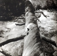 Visions West Gallery :: Bruce :: Crossing