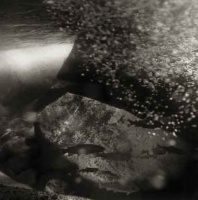 Visions West Gallery :: Bruce :: Boulder River Rainbows