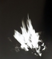 Visions West Gallery :: Bruce :: Campfire
