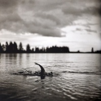 Visions West Gallery :: Bruce :: Henry's Fork 