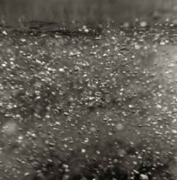 Visions West Gallery :: Bruce :: Holding Water