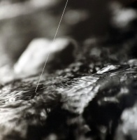 Visions West Gallery :: Bruce :: Mission Creek / unframed