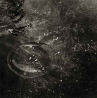 Visions West Gallery :: Bruce :: Rise