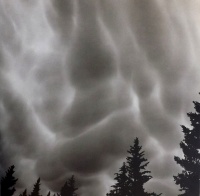 Visions West Gallery :: Bruce :: Storm in the Beartooths