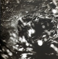 Visions West Gallery :: Bruce :: Upstream