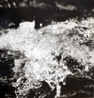 Visions West Gallery :: Bruce :: Yellowstone River