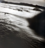 Visions West Gallery :: Bruce :: October - Green River