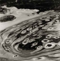 Visions West Gallery :: Bruce :: Rainforest Stream