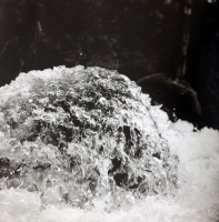 Visions West Gallery :: Bruce :: Spring Melt