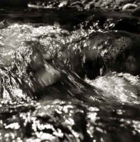 Visions West Gallery :: Bruce :: Stream / unframed