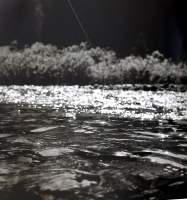 Visions West Gallery :: Bruce :: Trespassing