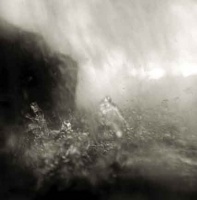 Visions West Gallery :: Bruce :: Waterfall