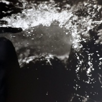 Visions West Gallery :: Bruce :: West Boulder River