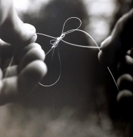 Visions West Gallery :: Bruce :: Wind Knot