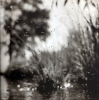 Visions West Gallery :: Bruce :: Hatch