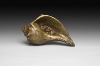 Visions West Gallery :: Bruce :: Shhh! Listen