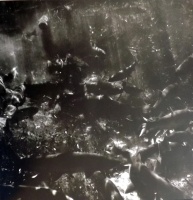 Visions West Gallery :: Bruce :: Dolly Varden / unframed