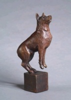 Visions West Gallery :: Bruce :: Treat?