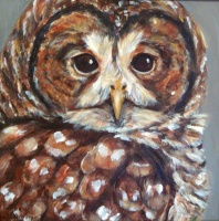 Visions West Gallery :: Bruce :: Barred Owl of Glenlohaine