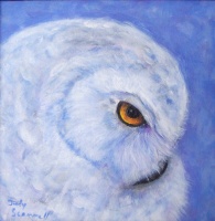 Visions West Gallery :: Bruce :: Snowy Owl