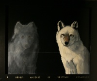 Visions West Gallery :: Bruce :: Brief History of Westward Expansion