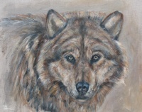 Visions West Gallery :: Bruce :: Quicksilver