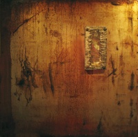 Visions West Gallery :: Bruce :: BLW 89: In Answer To Your Query Yes, Yes I Do