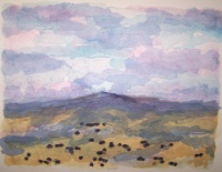 Visions West Gallery :: Bruce :: Gallatin Angus I