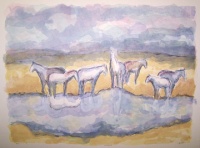 Visions West Gallery :: Bruce :: Ennis Horses I