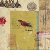 Visions West Gallery :: Bruce :: Red Bird