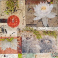 Visions West Gallery :: Bruce :: Wisdom