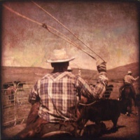 Visions West Gallery :: Bruce :: Roping Queue