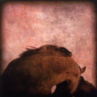 Visions West Gallery :: Bruce :: Reaching Back